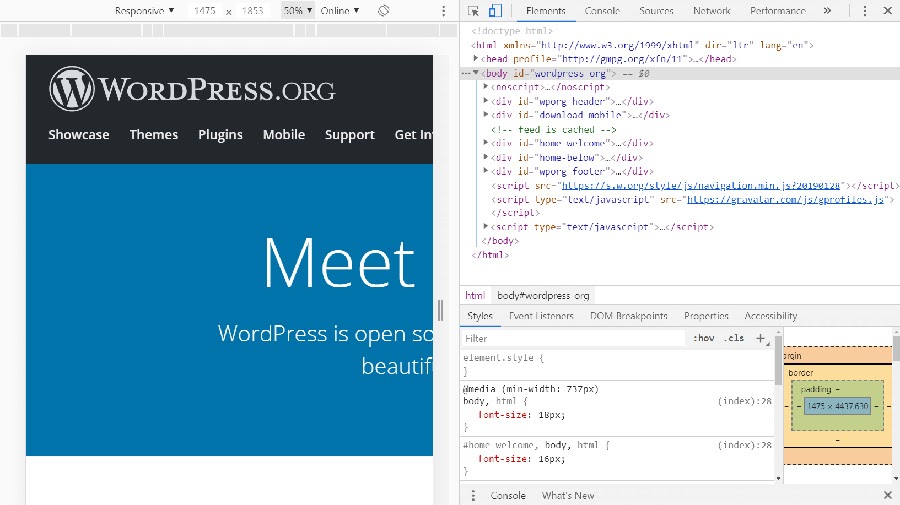 The WordPress website and its HTML.