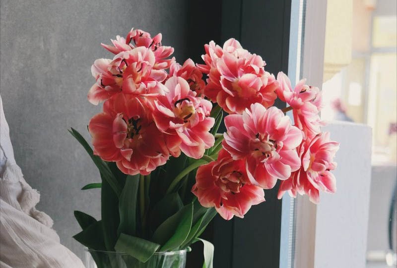 A high-quality image of pink flowers.